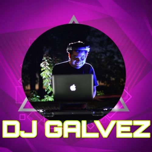 Foto de perfil de Domingo Gálvez S.