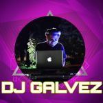 Domingo Gálvez S.